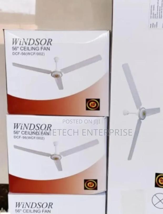 Windsor Ceiling Fan 56"