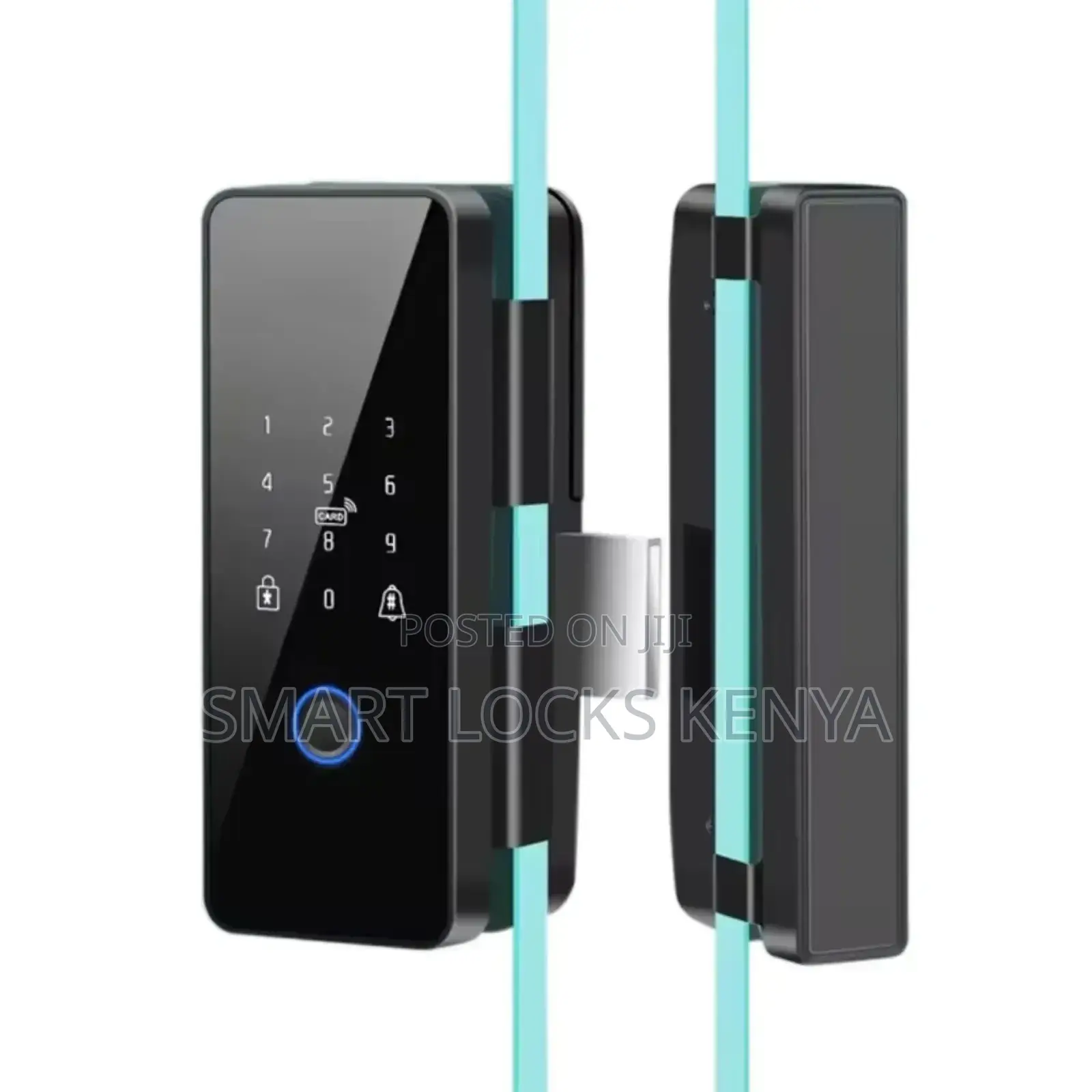 Biometric Smart Glass Door Lock