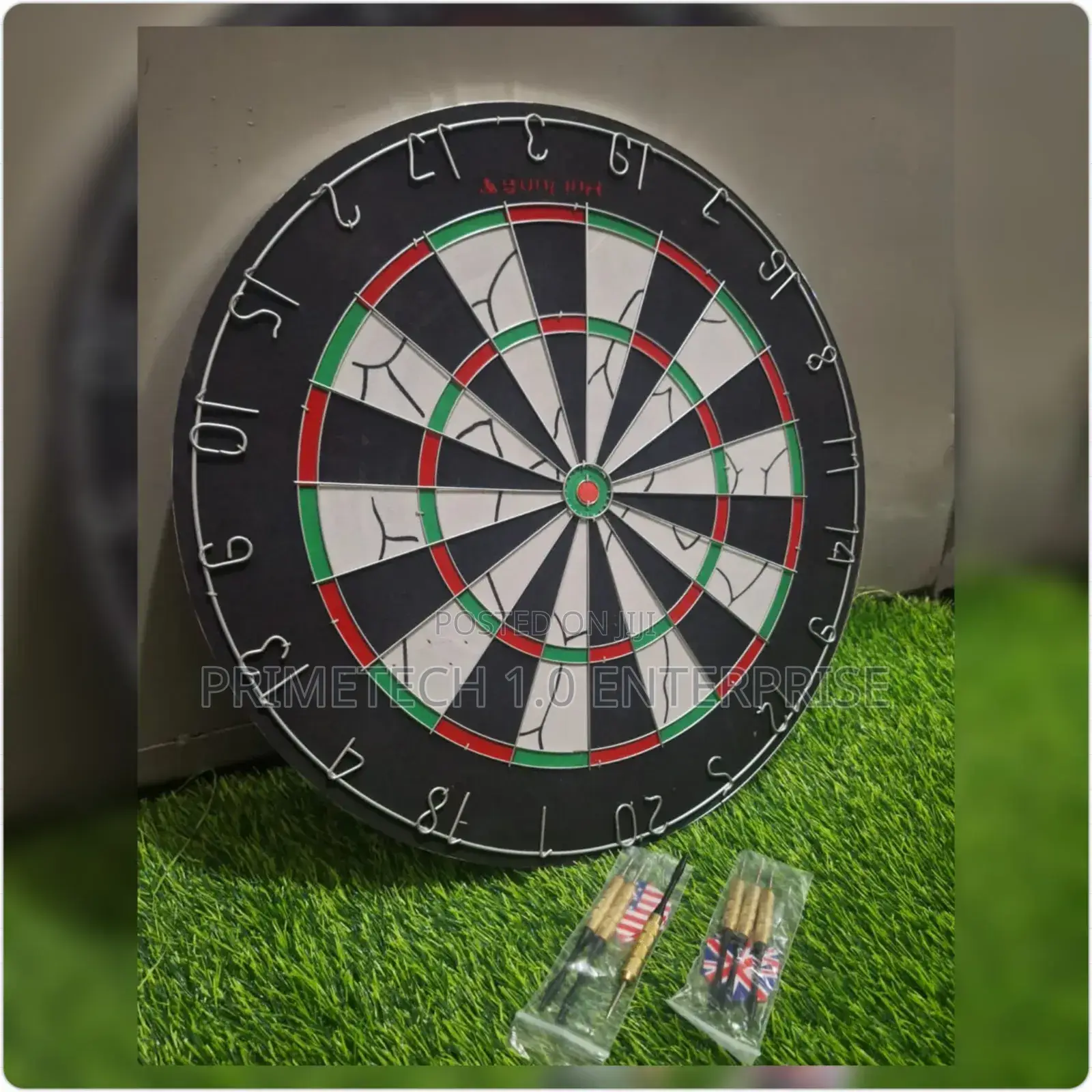 Professional Dart Board