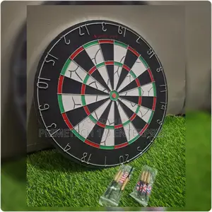 Professional Dart Board