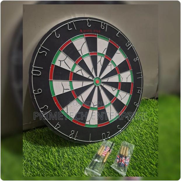 Professional Dart Board - main view