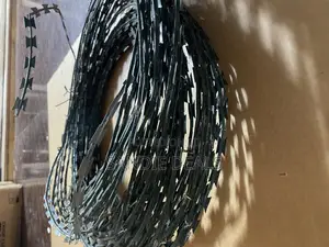 Security Wire/ Razor Wire