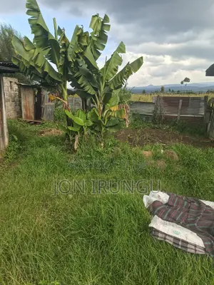 50x100 Plot for Sale in Ngobit, Laikipia County