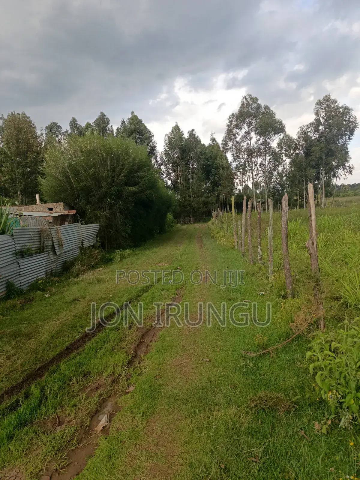 50x100 Plot for Sale in Ngobit, Laikipia County