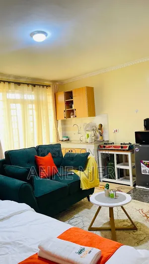 Spacious Studio on Ruiru