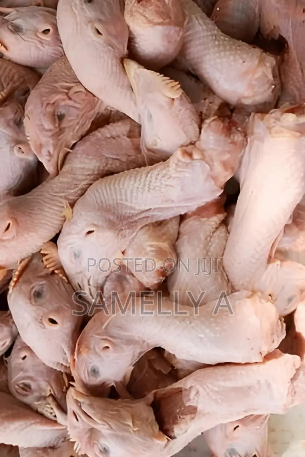 Chicken Heads For Pets