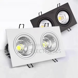 Double Head Square Cob Embedded Grille Downlight 20w 30w High-Quality