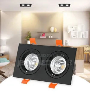Double Head Square Cob Embedded Grille Downlight 20w 30w High-Quality
