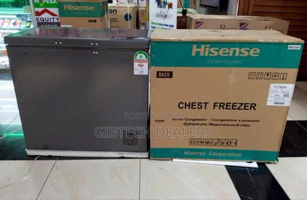 Hisense 245 LTRS Dual Chest Freezer