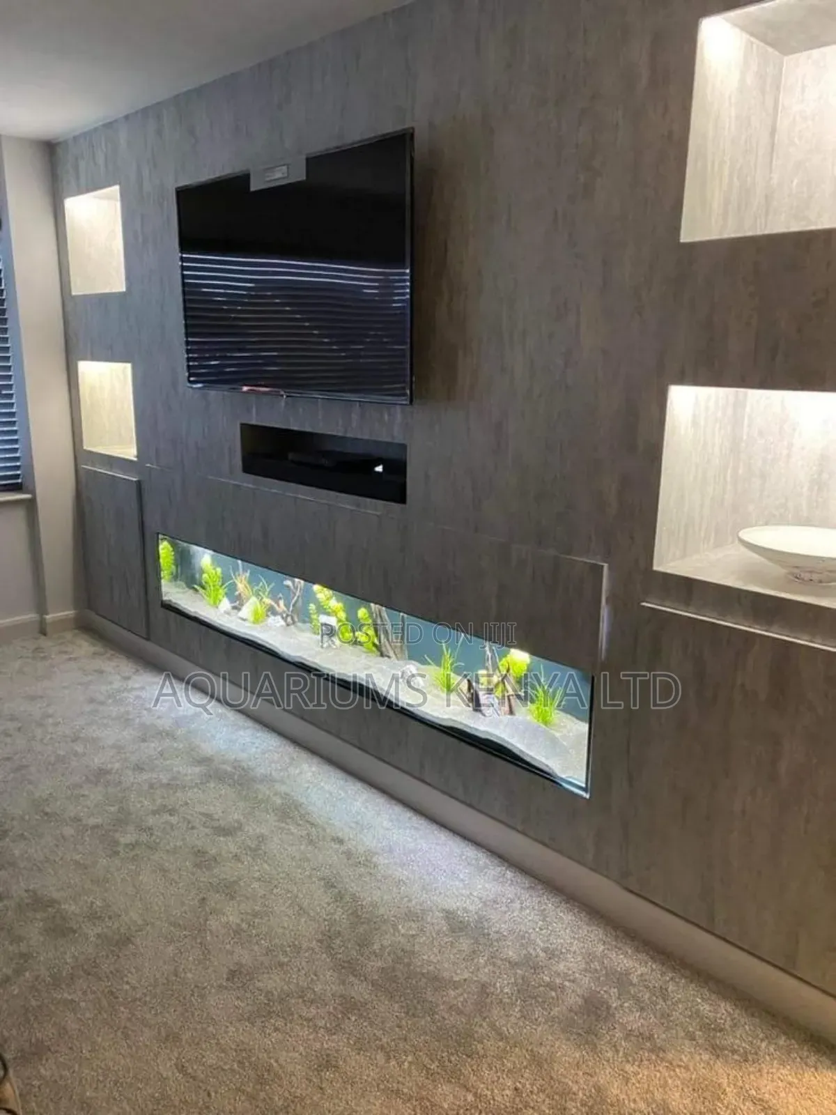 Tv Wall Aquarium