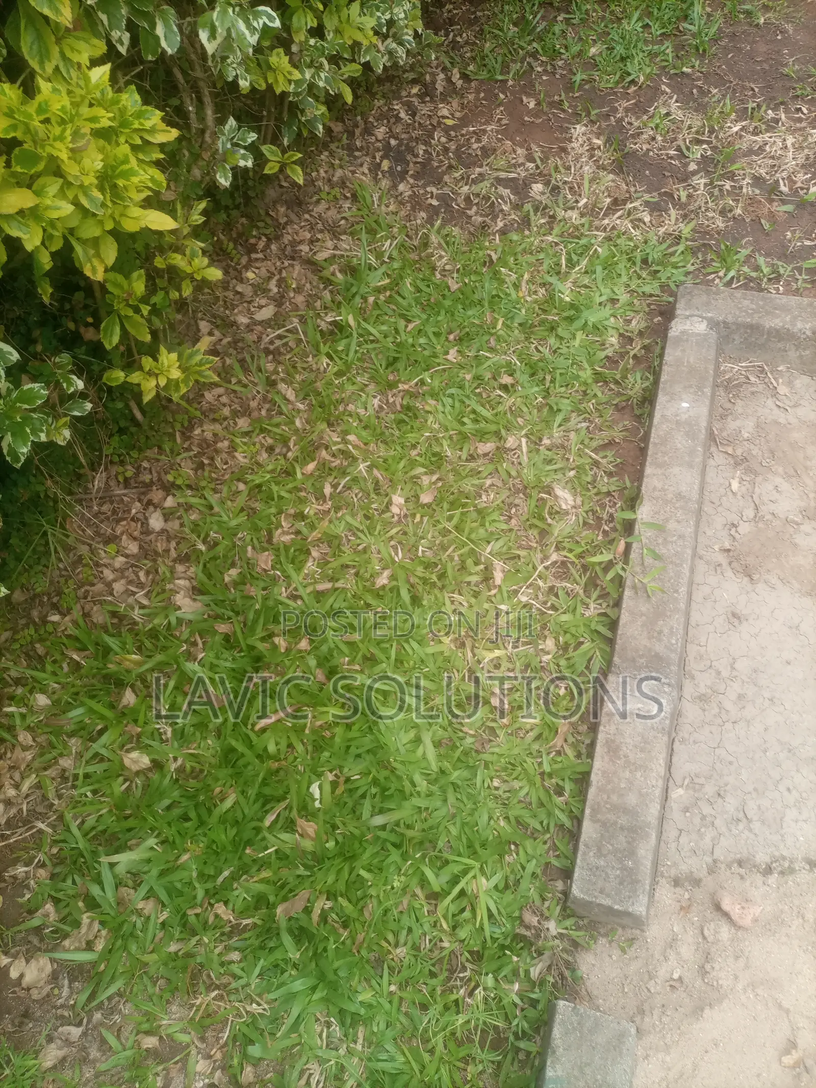 Land Scaping of Gardens and Backyards