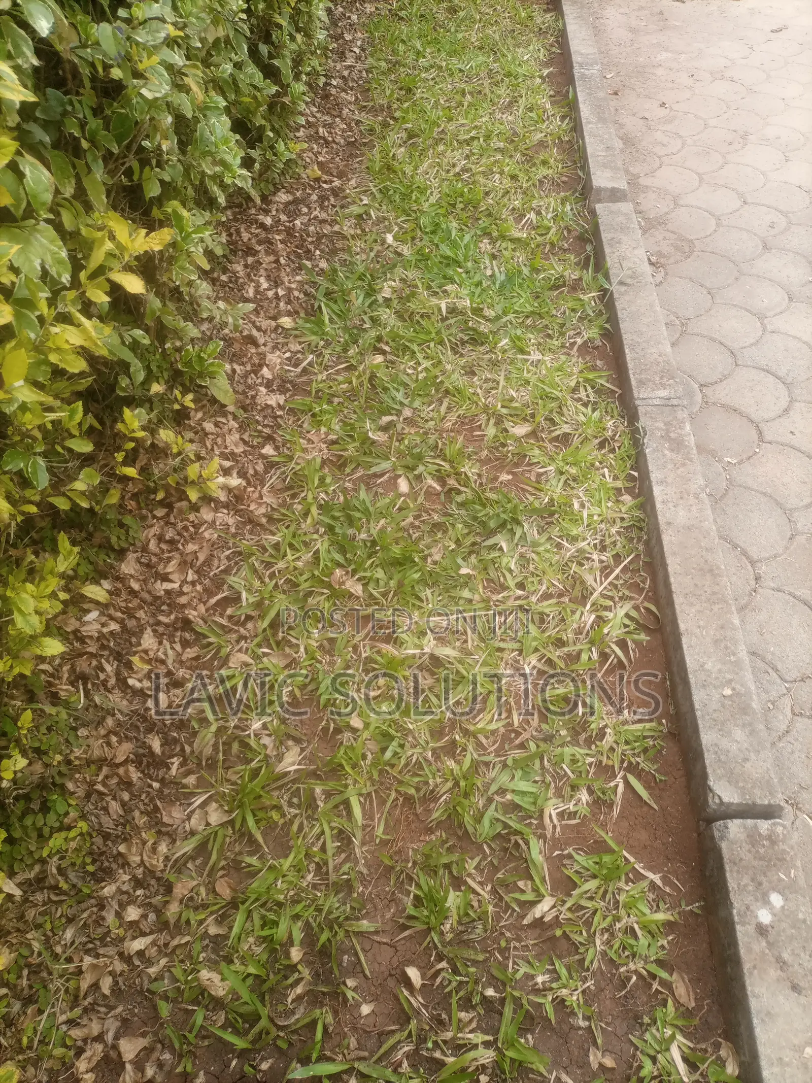 Land Scaping of Gardens and Backyards