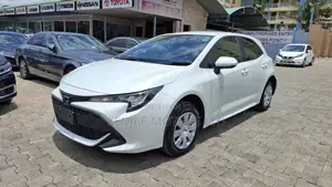 Toyota Corolla Fielder 2018 White