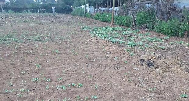 Prime 1.3-Acre Marrum Plot of Land for Sale in Karen - thumbnail 2