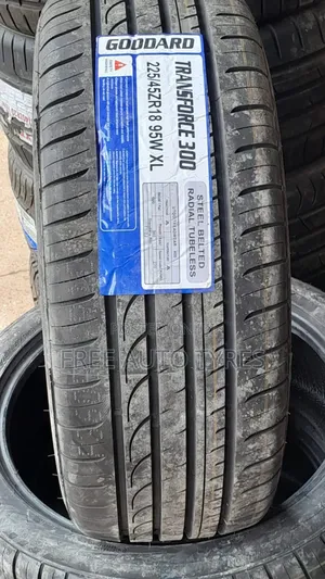 225 45r18 Goodard