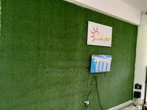 Wall Decor Grass Carpet Transformation