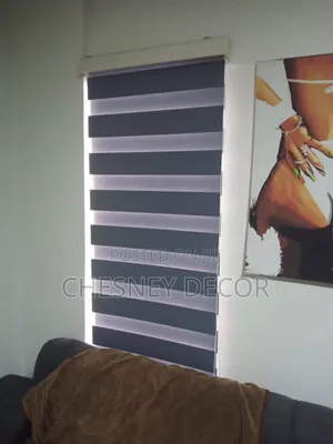 Dual Function Zebra Blinds