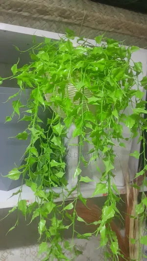 Cream Hard Plastic Vase and Vines Artificial