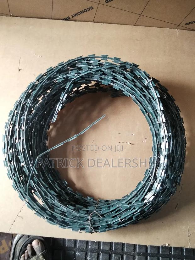 Galvanized Razor Wire - main view