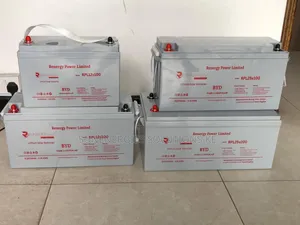 2.56kwh 12v 200ah Renergy Lithium Battery