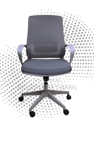 Pro-Grade Grey Ergonomic Mesh Office Chair | Adjustable Height