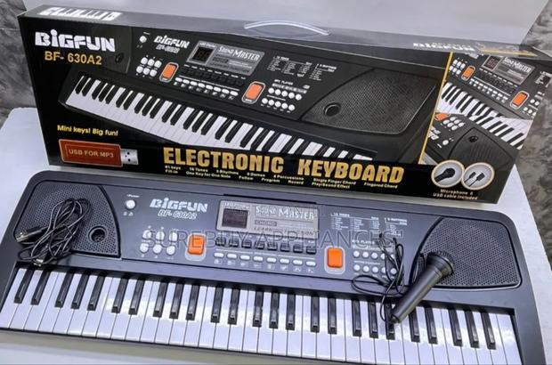 61 Keys Electric Piano With Microphone and Charging Cable - main view