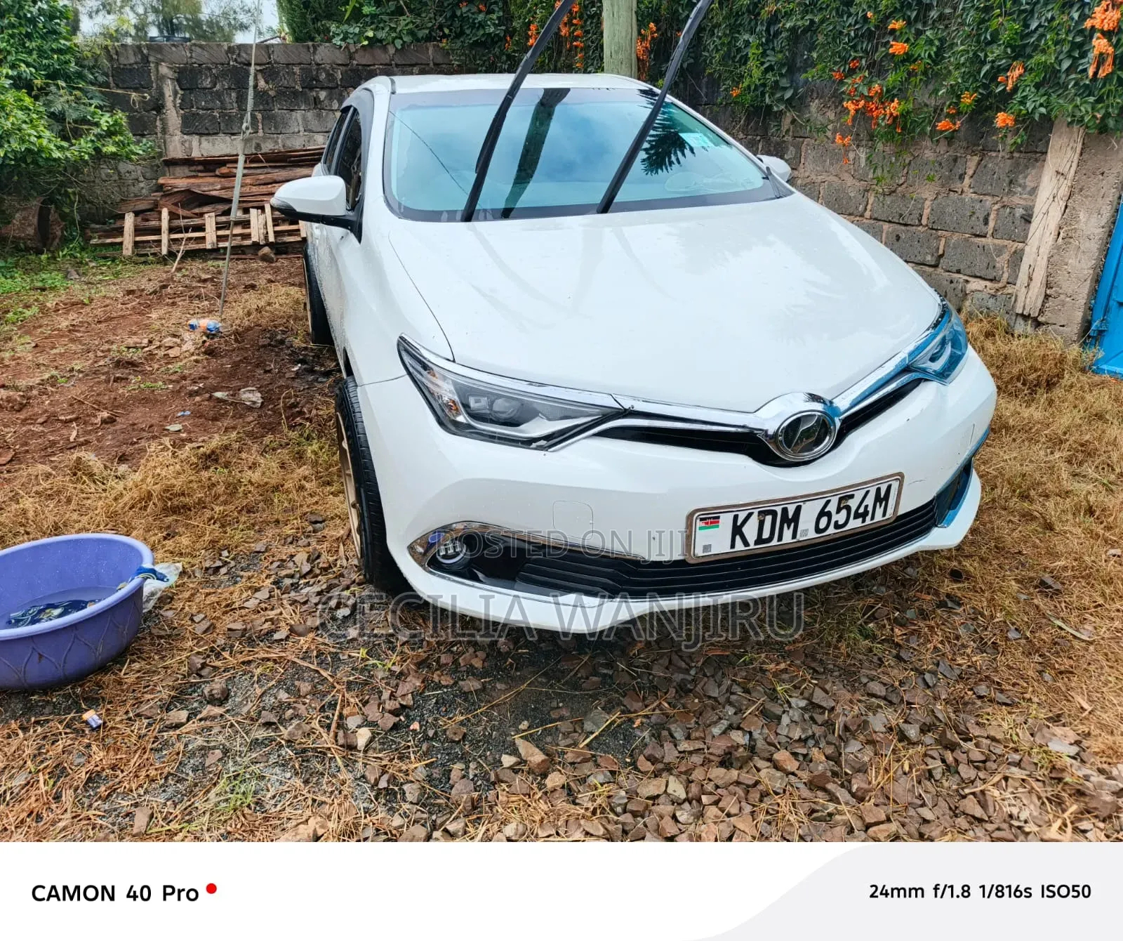 Car Hire Self Drive