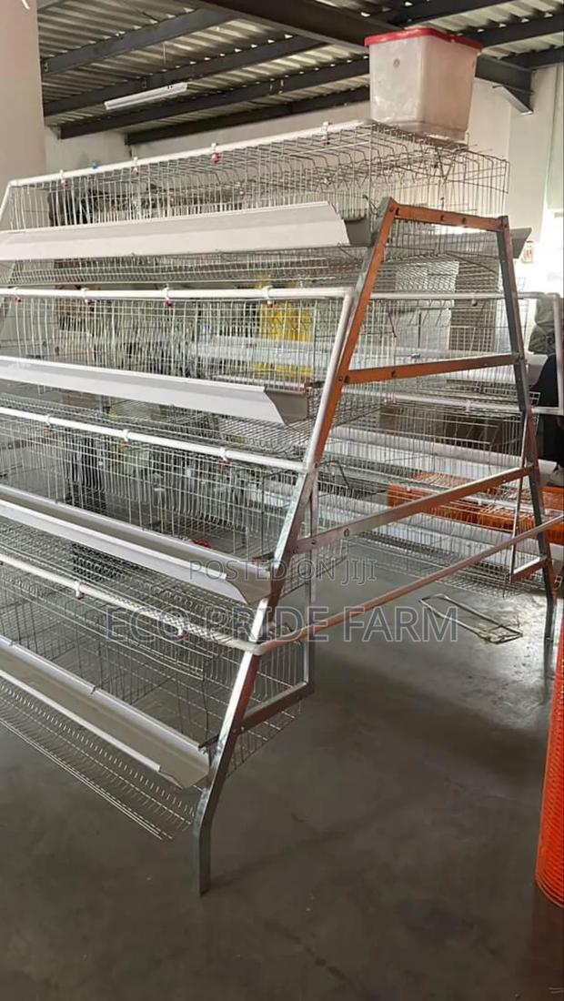 Chicken Cages for Layers