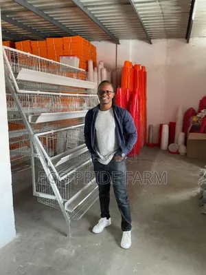 Chicken Cages for Layers
