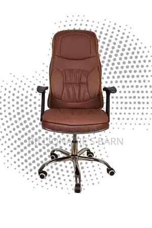 Ergonomic Executive Leather Chair | Premium Lumbar Support