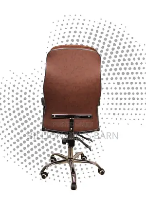 Ergonomic Executive Leather Chair | Premium Lumbar Support