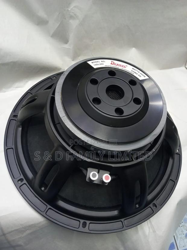 Derwel 15dl202 15 Inch Midbass Speaker