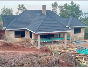 Roofing Services and Ceiling Work