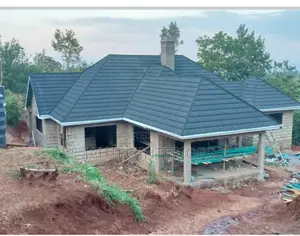 Roofing Services and Ceiling Work