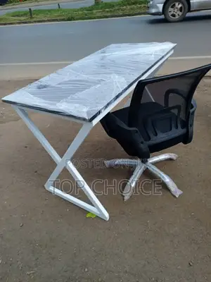Elegant Working Table and Mesh