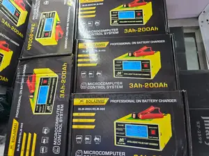 Intelligent Bolaimei 12v/24v Lead Acid Car Battery Charger 10a