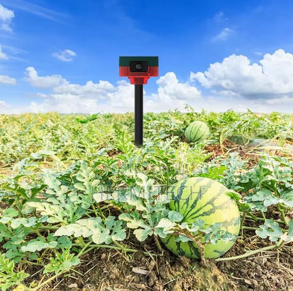 Wireless Solar Rf Remote Alarm Siren Solar Animal Repeller