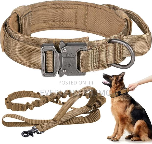 Tough Tactical Dog Leash - main view