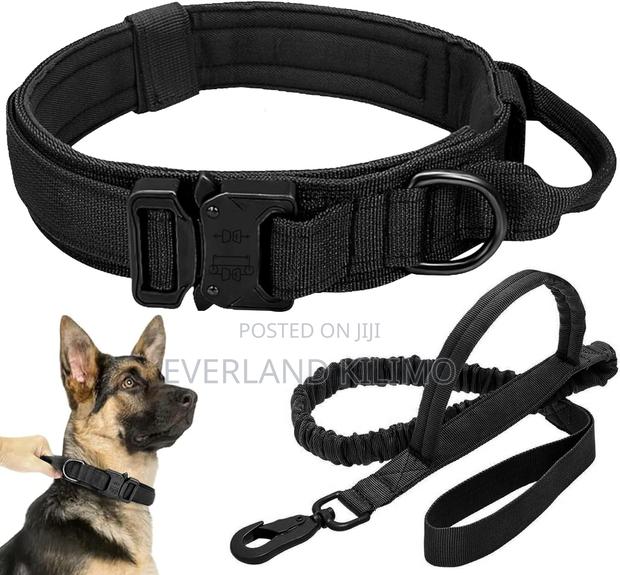 Millitary Tactical Leash and Collar - main view