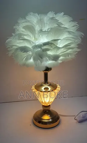 *Bedside Table Lamp With Feathers Head Now Available*