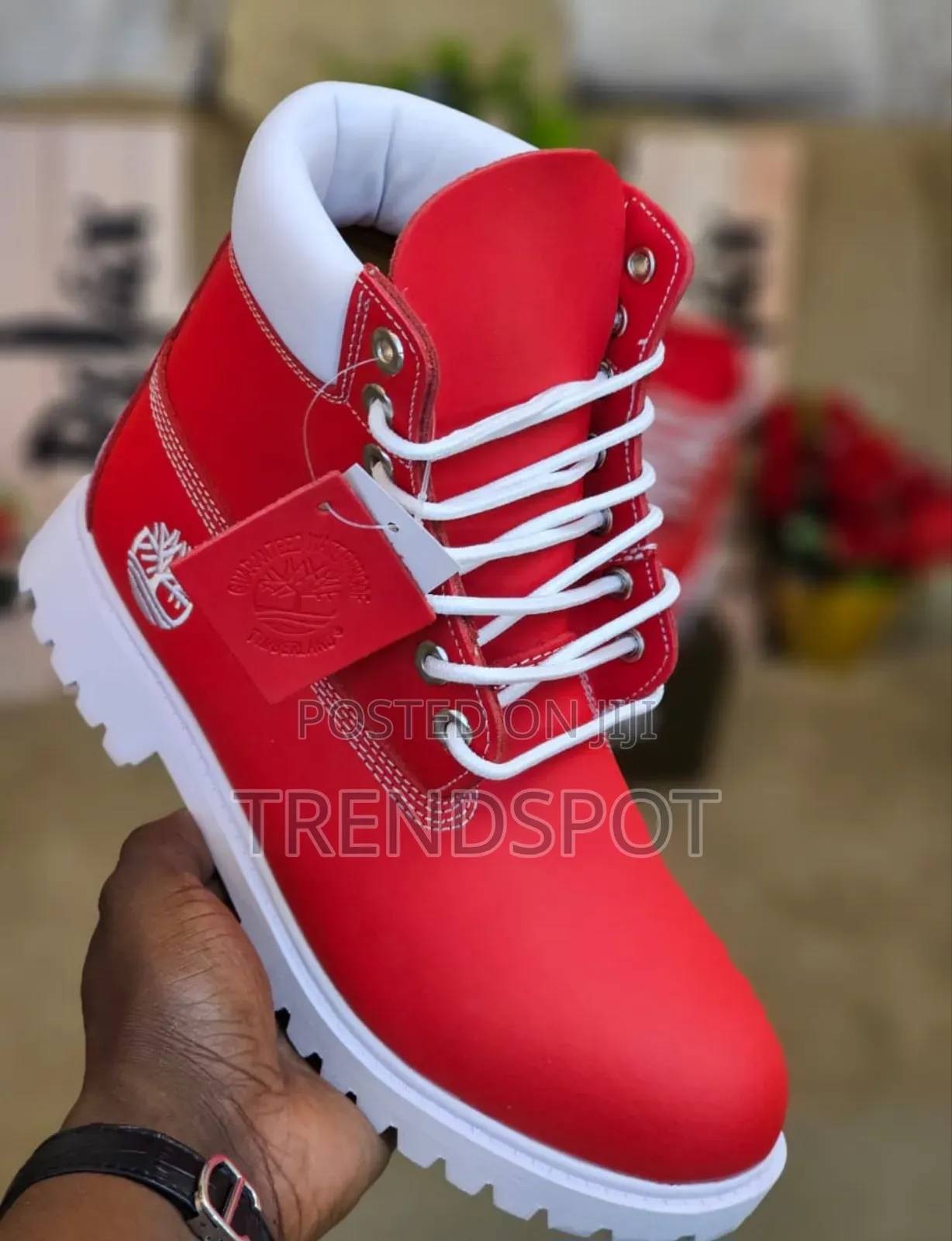 Timberland Coloured
