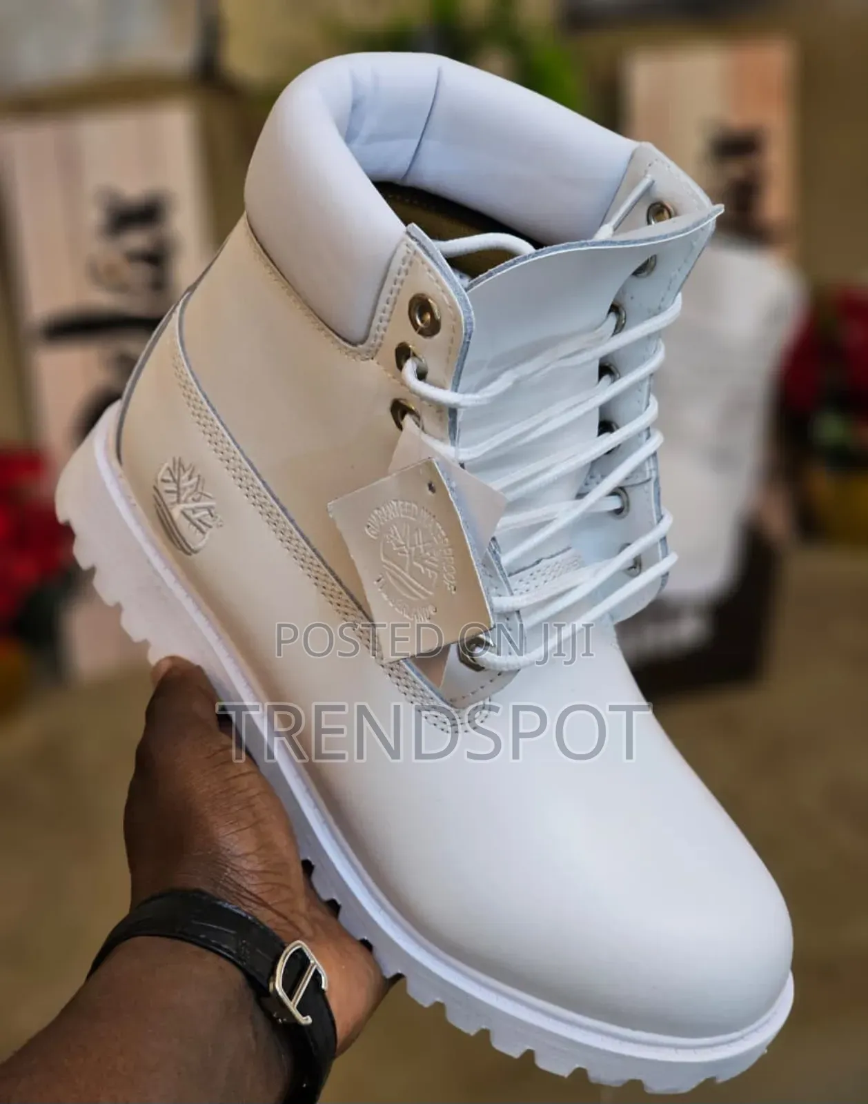 Timberland Coloured

