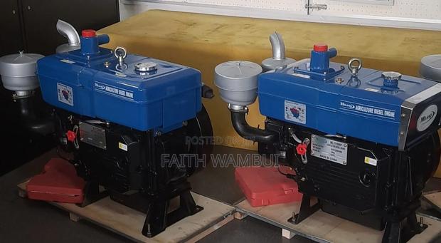 Quality Milano Italian Diesel Engine Water Cooled - main view