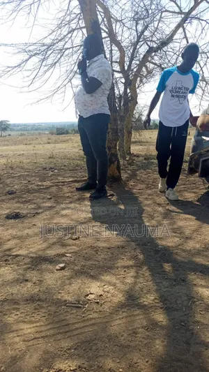 Land for Sale in Kamulu