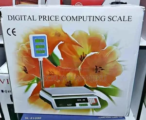 Digital Weighing Scale Machine Acs 30/ Butchery Weighing Scale 30kgs