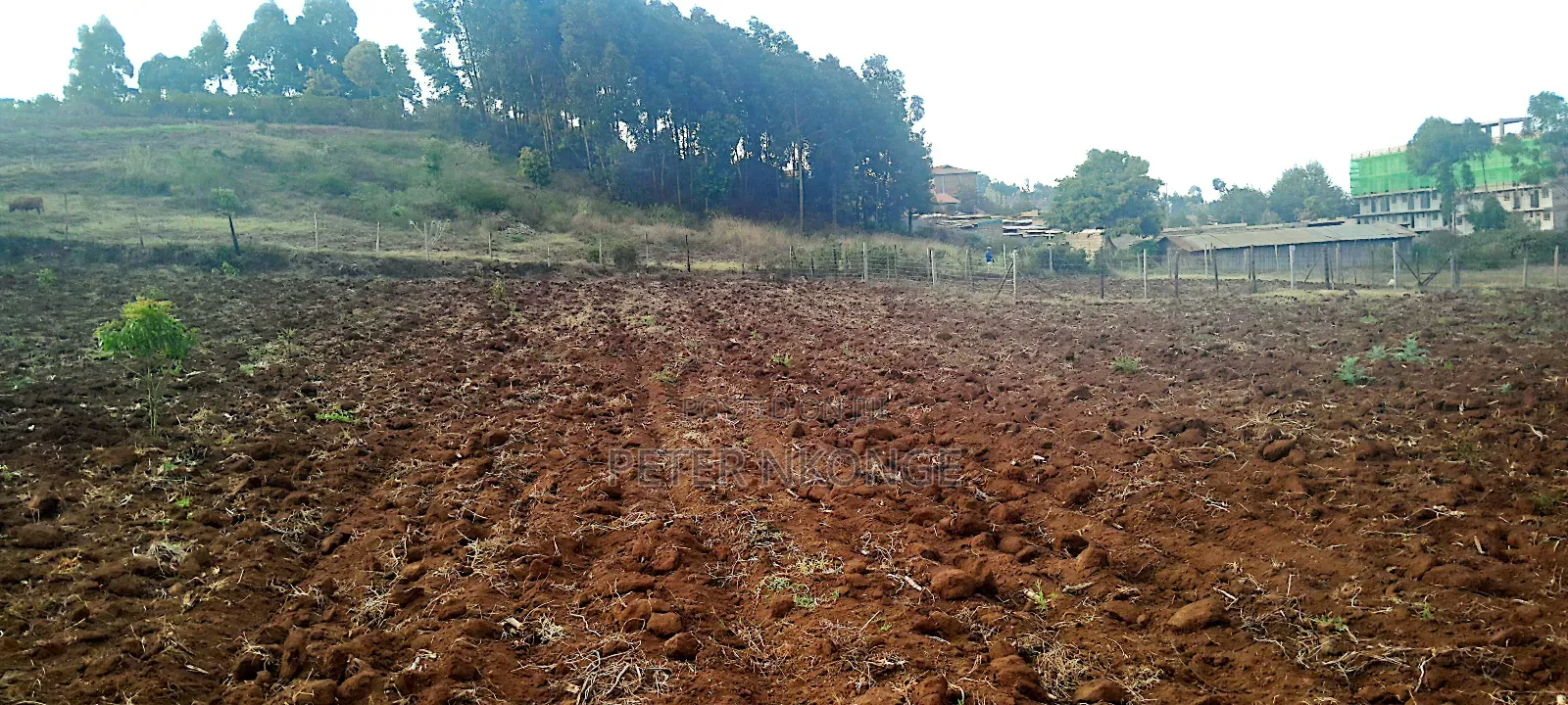 50 X 100 Plots Kiirua Tti