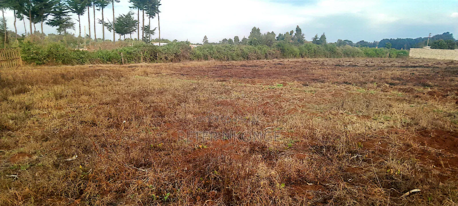 50 X 100 Plots Kiirua Tti