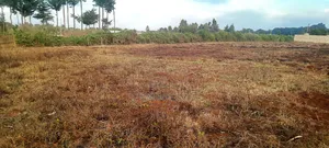 50 X 100 Plots Kiirua Tti