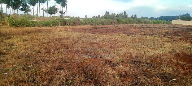 50 X 100 Plots Kiirua Tti - thumbnail 3