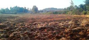 50 X 100 Plots Kiirua Tti